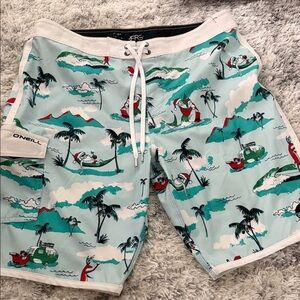 O'Neill Men's Scenic Print Board Shorts - Aqua and White
